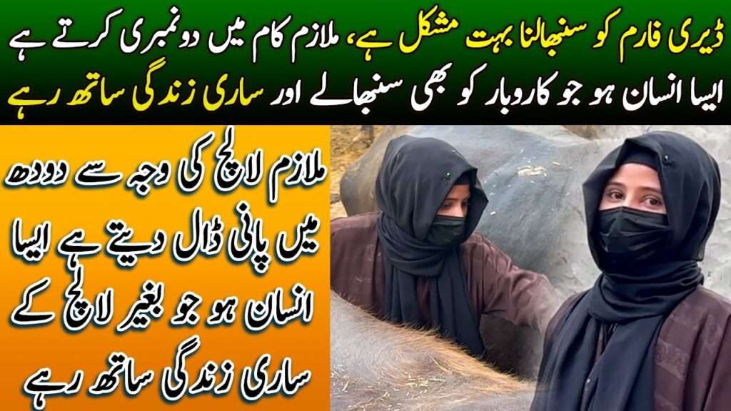 Best Affordable: Online Degrees from the Top Universities